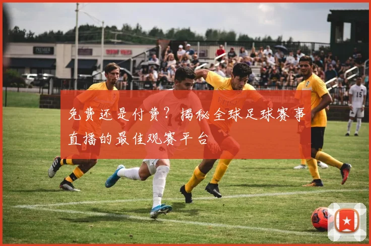 免费还是付费?揭秘全球足球赛事直播的最佳观赛平台