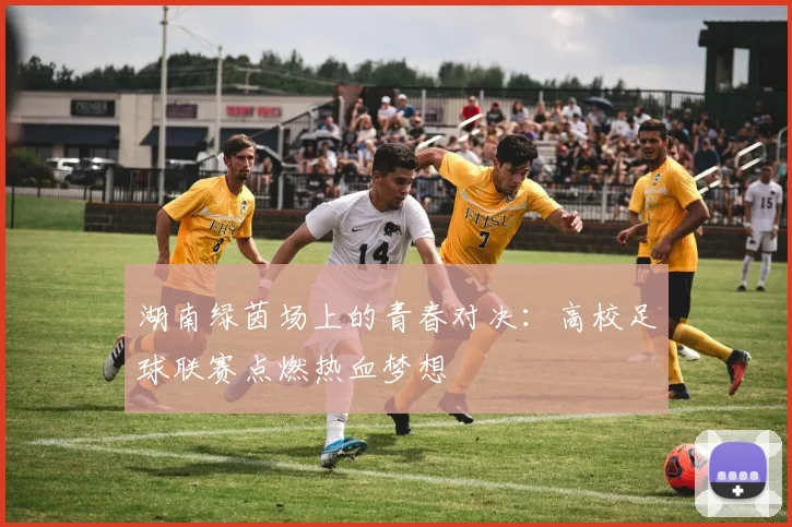 湖南绿茵场上的青春对决：高校足球联赛点燃热血梦想