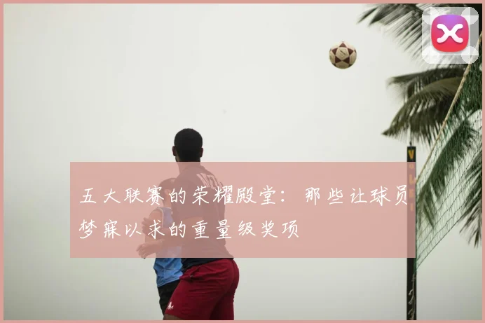 五大联赛的荣耀殿堂：那些让球员梦寐以求的重量级奖项