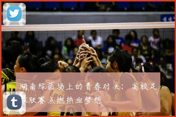 湖南绿茵场上的青春对决：高校足球联赛点燃热血梦想