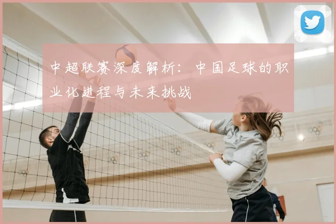 中超联赛深度解析:中国足球的职业化进程与未来挑战